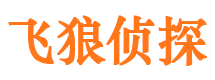 嵩县市侦探调查公司